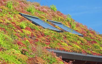 South Wraxall living roof systems