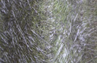 South Wraxall fibreglass roof work